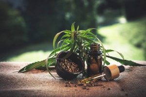 cbd kapljice
